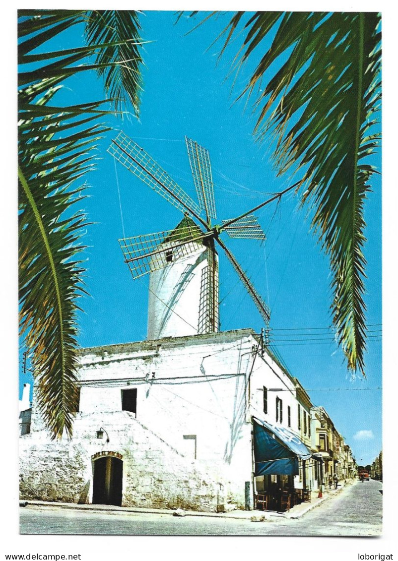 TIPICO MOLINO / TYPICAL WINDMILL.-  CIUDADELA - MENORCA.- ILLES BALEARS - Menorca