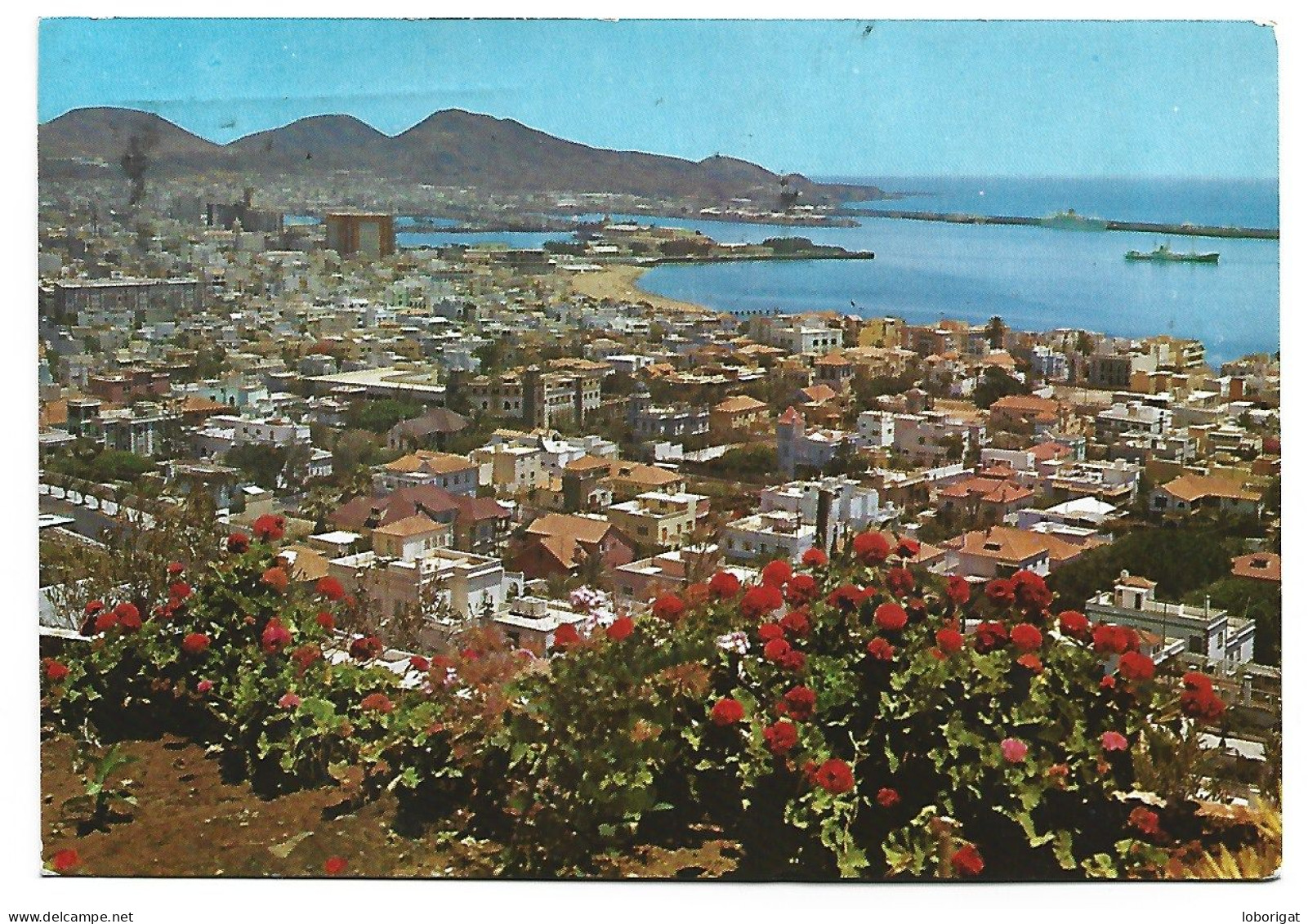 PANORAMICA DE LA CIUDAD JARDIN Y PUERTO DE LA LUZ.- LAS PALMAS DE GRAN CANARIA .- ISLAS CANARIAS.- ( ESPAÑA ). - La Palma