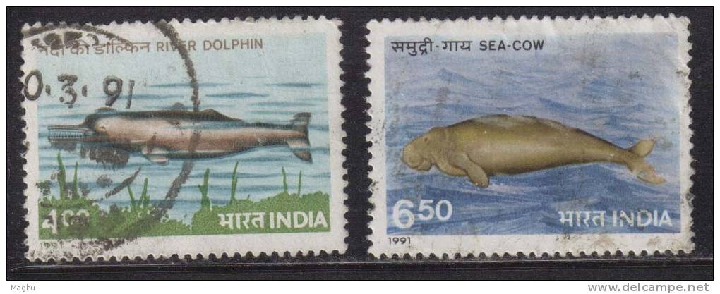 India Used 1991, Set Of 2, Endangered Marine Mammals, River Dolphin, Sea Cow, Mammal., - Usados