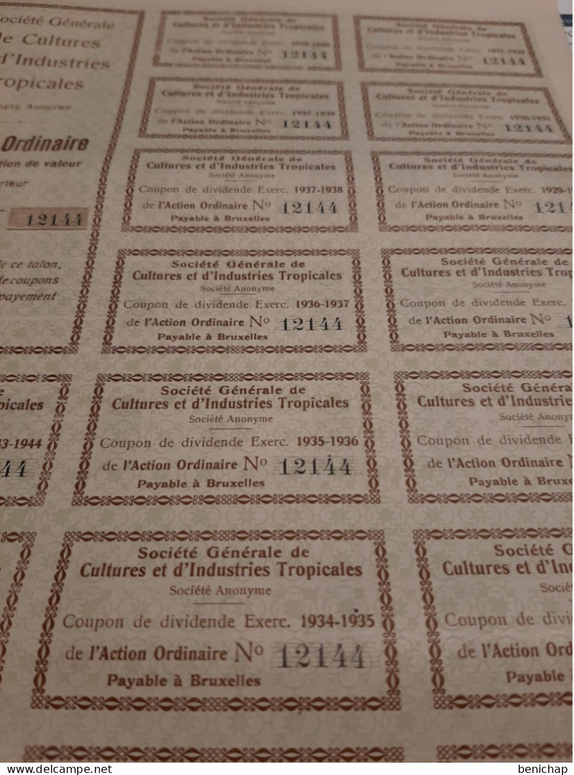 Société Générale De Culture Et D'Industries Tropicales - Action Ordinaire Au Porteur - Bruxelles Le 20 Octobre 1924. - Agricoltura