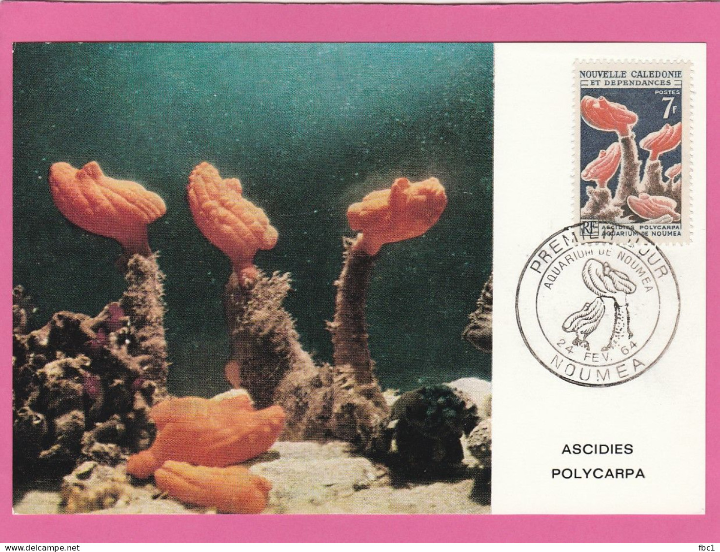 Carte Maximum - Nouvelle Calédonie - 1964 - Aquarium De Nouméa - Premier Jour - Cartes-maximum