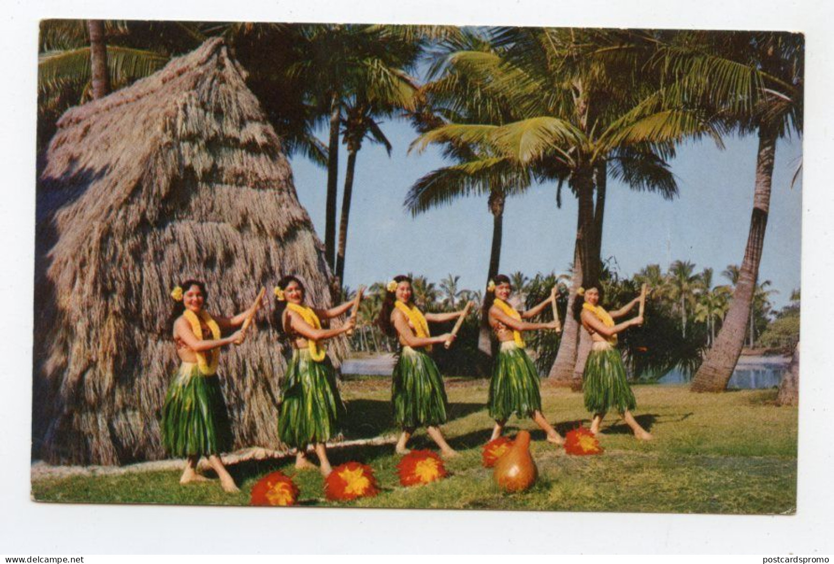 HAWAII -Typical Dance  ( 2 Scans ) - Big Island Of Hawaii