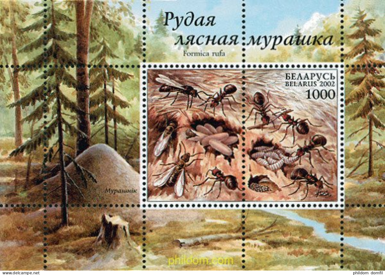 101002 MNH BIELORRUSIA 2002 HORMIGAS - Spiders
