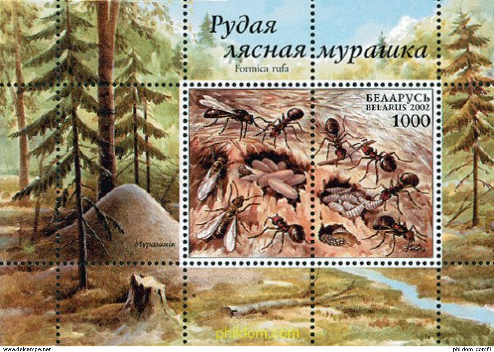 101002 MNH BIELORRUSIA 2002 HORMIGAS - Araignées