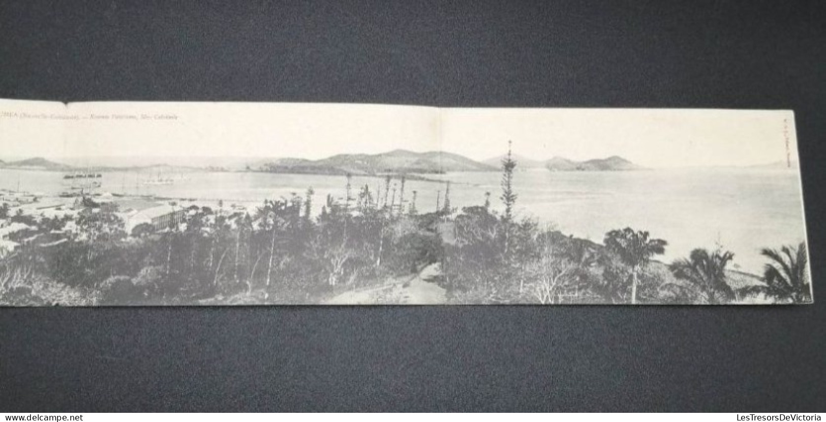 Nouvelle Calédonie - Panorama De Nouméa - Dim: 64,5/9 Cm - Carte Postale Ancienne - Nueva Caledonia