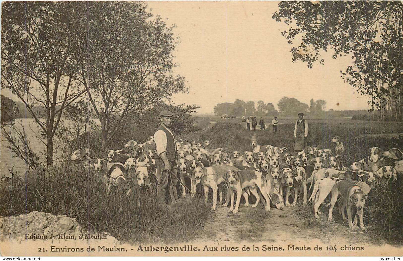 AUBERGENVILLE Aux Berges De La Seine, Meute De 104 Chiens - Aubergenville