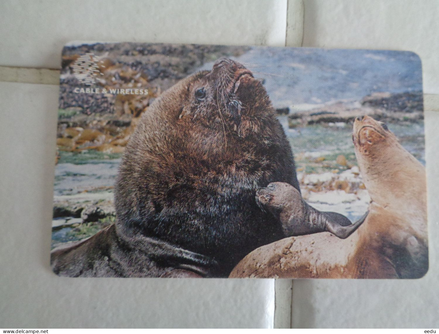 Falkland Islands Phonecard - Islas Malvinas