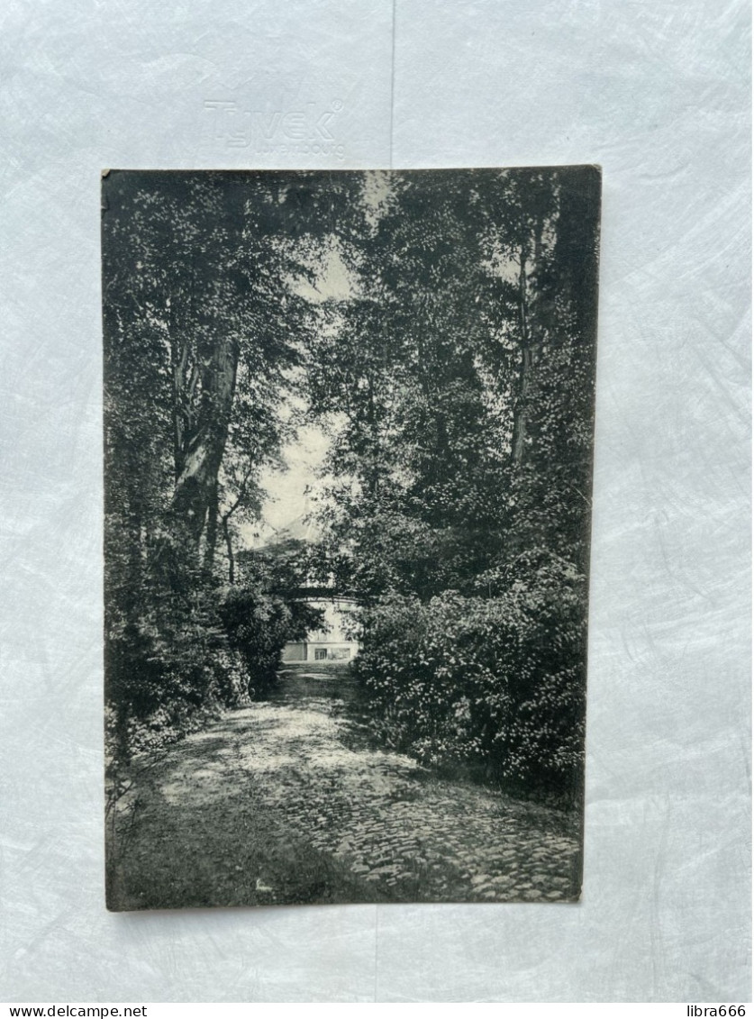 JETTE Institut Des Soeurs Hospitalières - Rue Léopold - Sous-bois Dans Le Parc / Cliché. F. Walschaerts - Jette