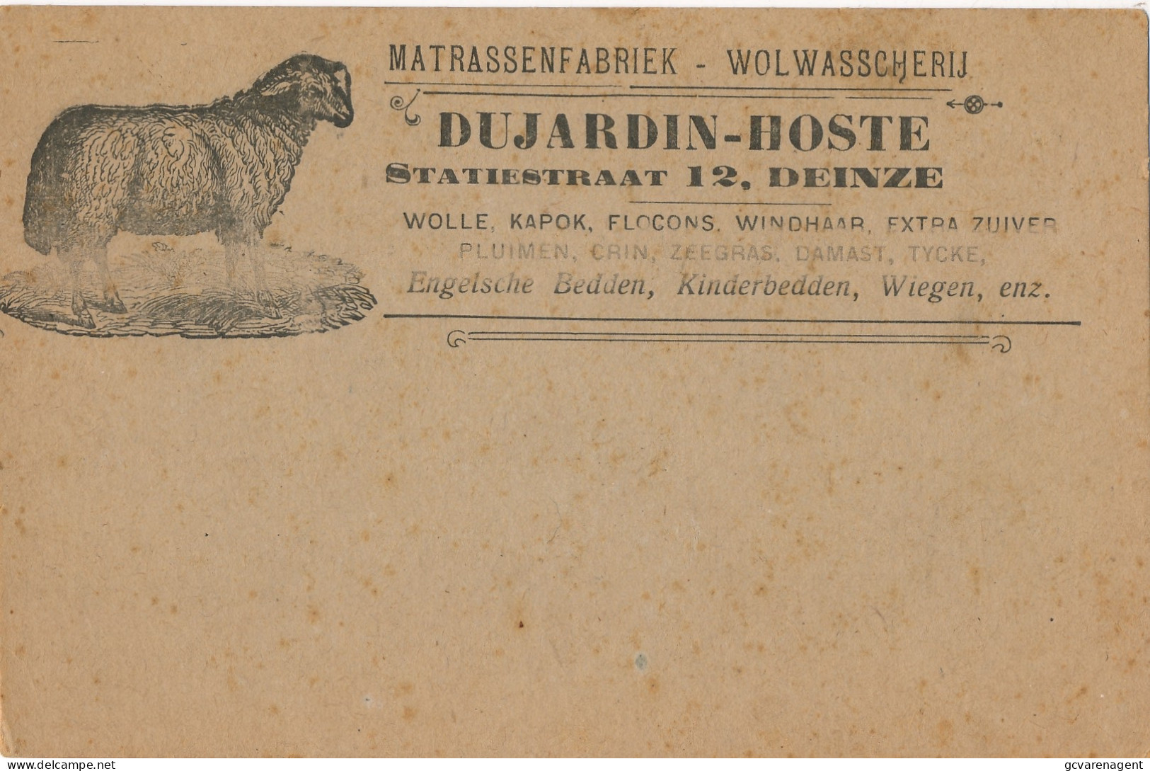 DEINZE   MATRASSENFABRIEK - WOLWASSCHERIJ - DUJARDIN - HOSTE  STATIESTRAAT 12     2 SCANS - Deinze