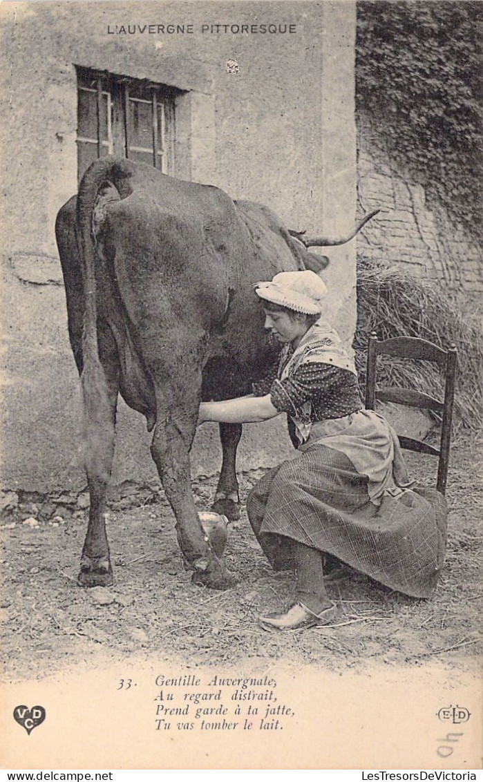 FOLKLORE - L'Auvergne Pittoresque - Fermière Trait Une Vache - Carte Postale Ancienne - Vestuarios