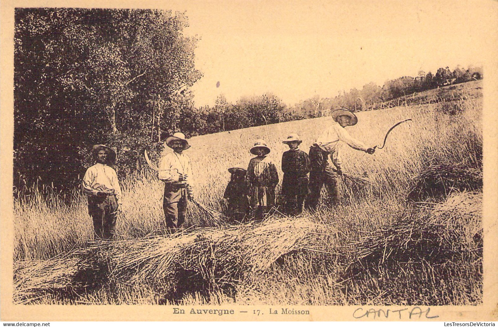 FOLKLORE - En Auvergne - Cantal - La Moisson - Edition Malroux Laborie - Carte Postale Ancienne - Vestuarios