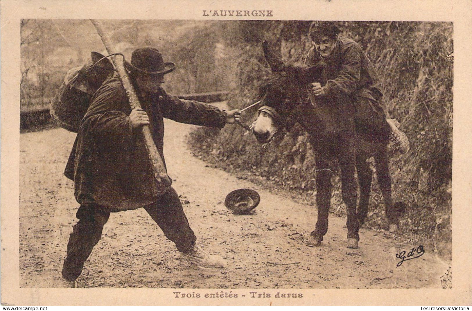 FOLKLORE - AUVERGNE - Trois Entêtés - Âne - Carte Postale Ancienne - Dans