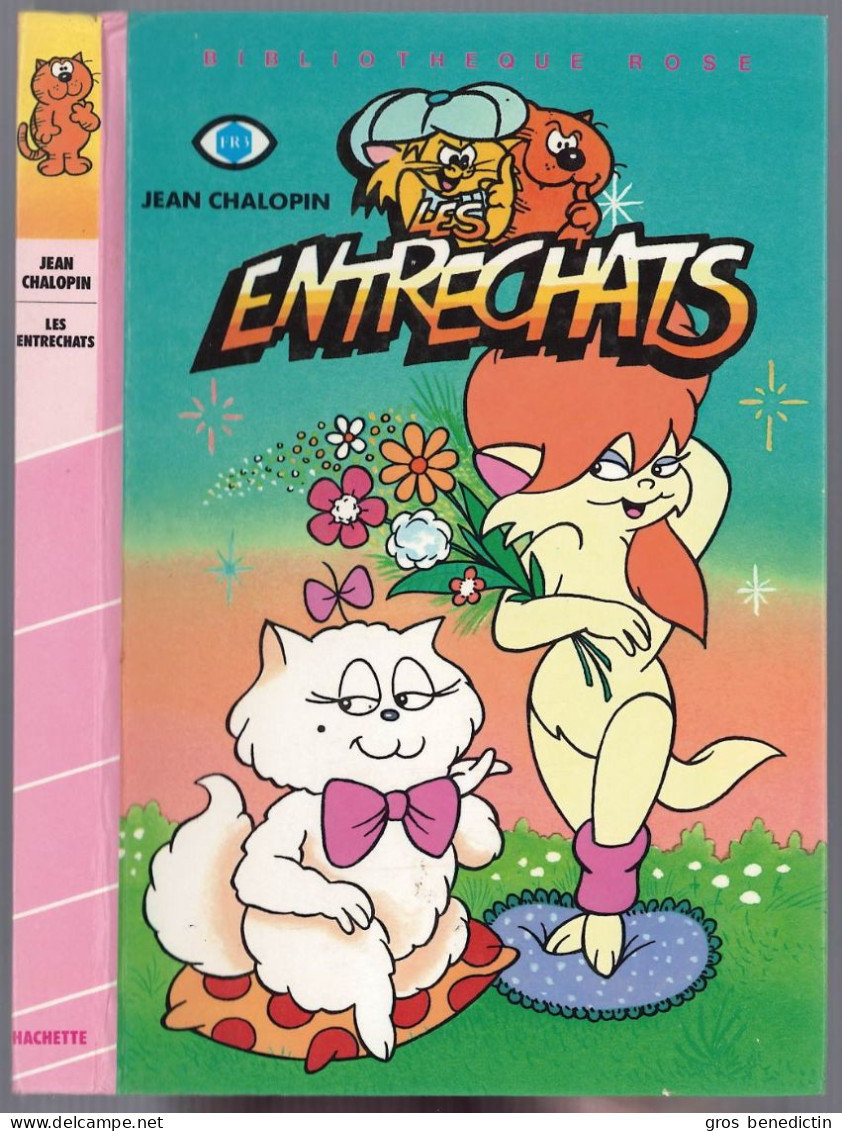 Hachette - Bibliothèque Rose - Jean Chalopin - Séries Des Entrechats - "Les Entrechats" - 1986 - #Ben&Brose&EntCat - Bibliothèque Rose
