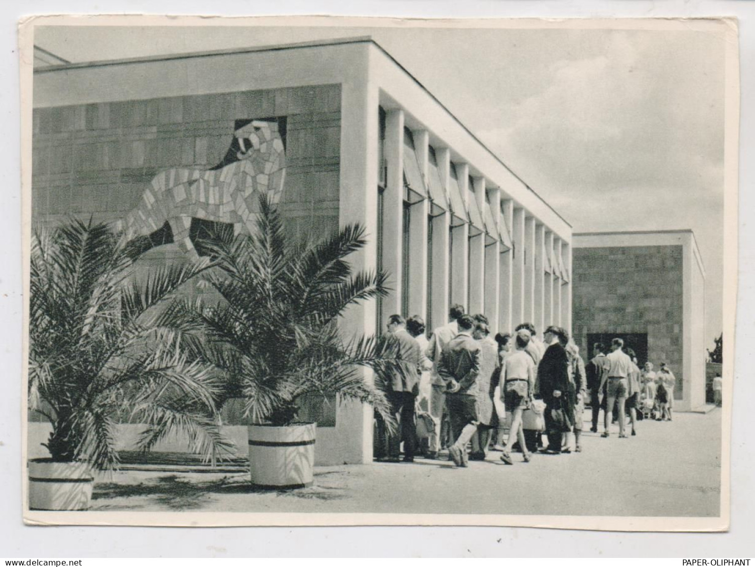 1000 BERLIN - FRIEDRICHSFELD, Tierpark Berlin (Zoo), Alfred - Brehm Haus, 1968 - Hohenschönhausen