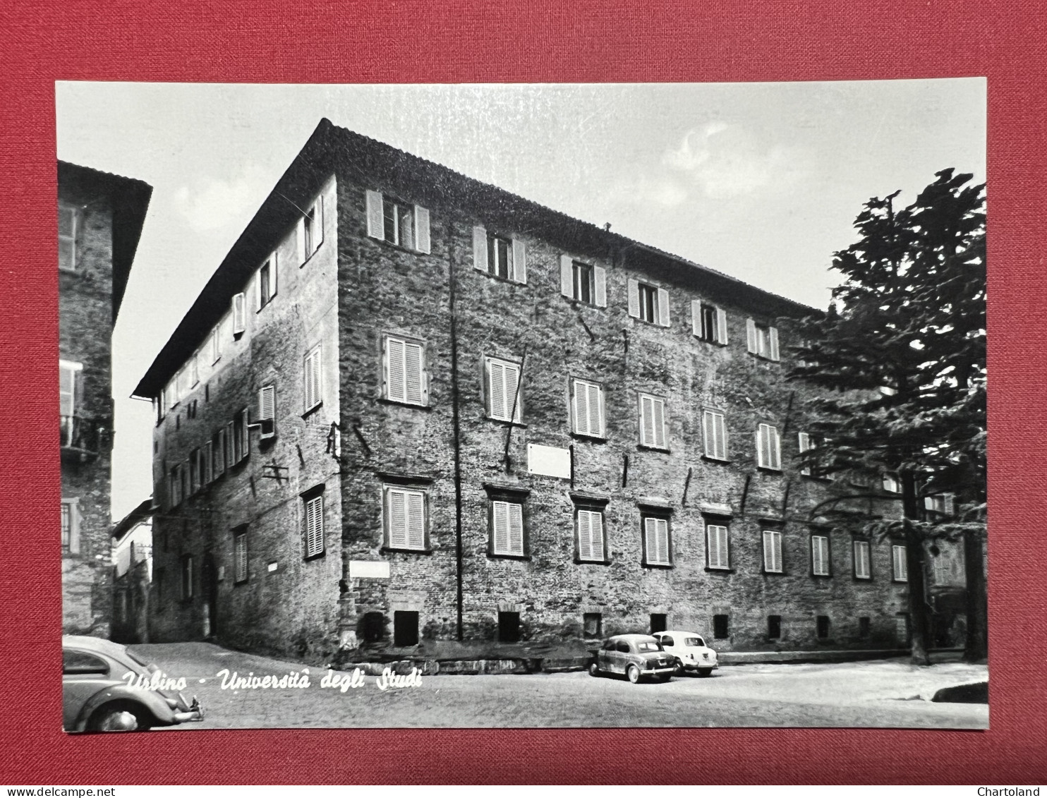 Cartolina - Urbino - Università Degli Studi - 1950 Ca. - Urbino