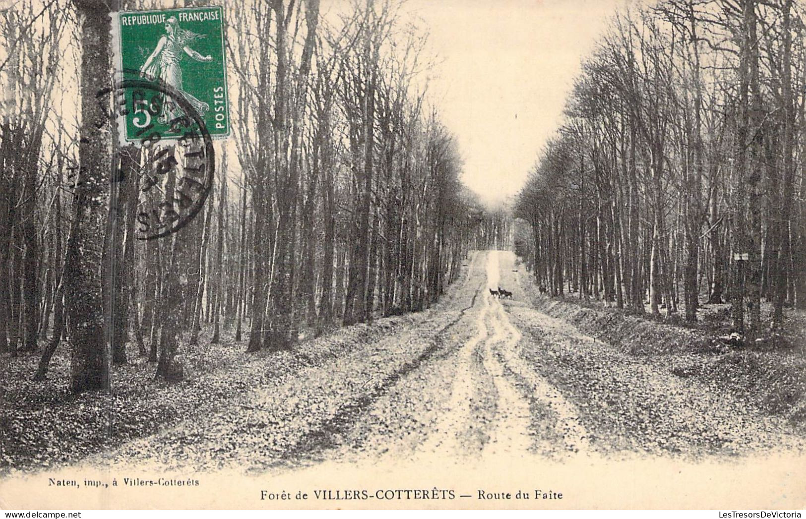 FRANCE - 02 - VILLERS COTTERETS - Forêt - Route Du Faite - Carte Postale Ancienne - Villers Cotterets