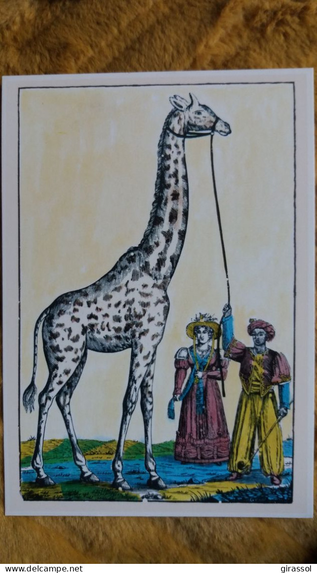 CPM LA GIRAFE DE CHARLES X BOIS GRAVE DE GEORGIN DEBUT 19 EME SIECLE IMAGES D EPINAL PELLERIN - Giraffes