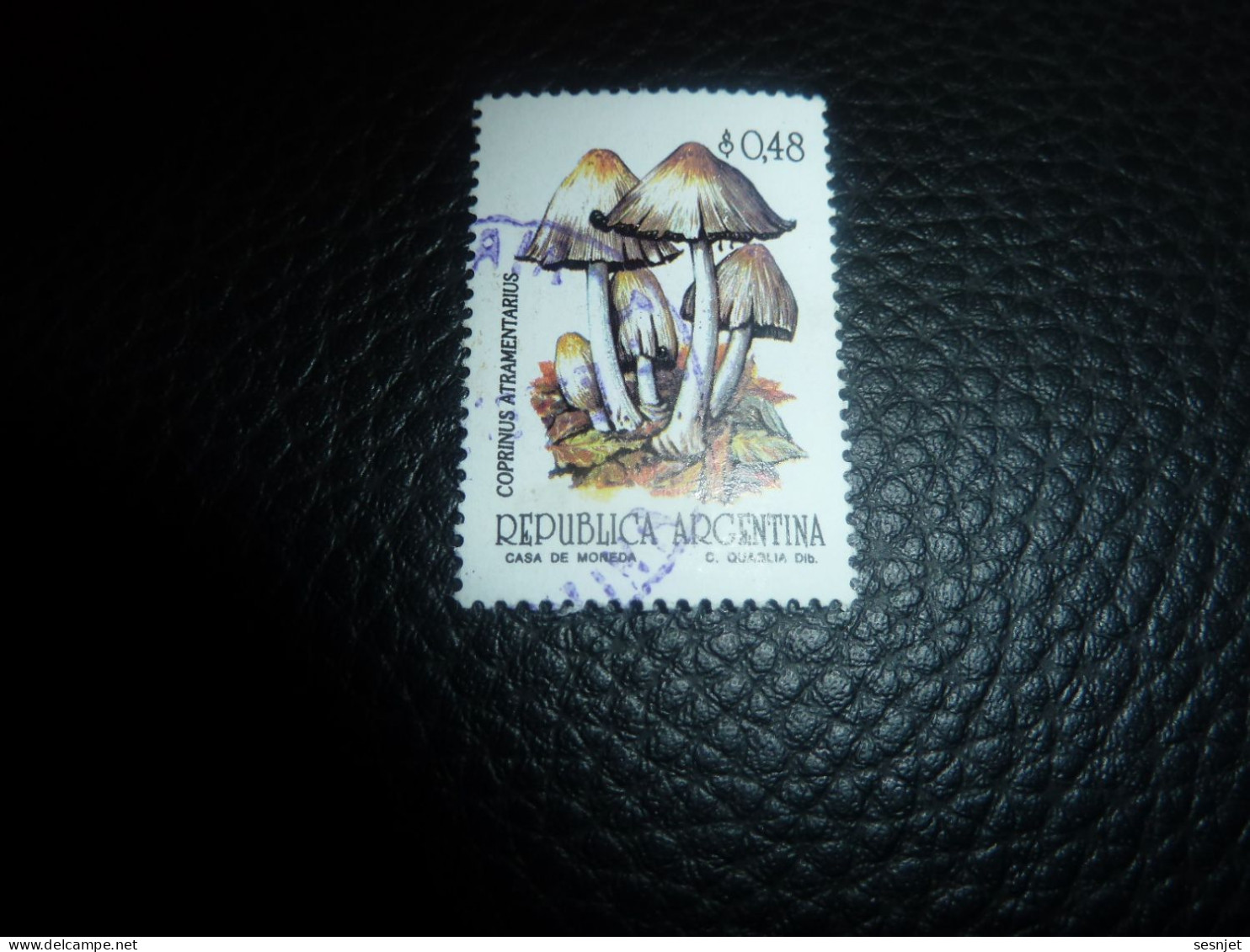 Républica Argentina - Coprinus Atramentarius - 0.48 - Yt 1823 - Multicolore - Oblitéré - Année 1993 - - Used Stamps