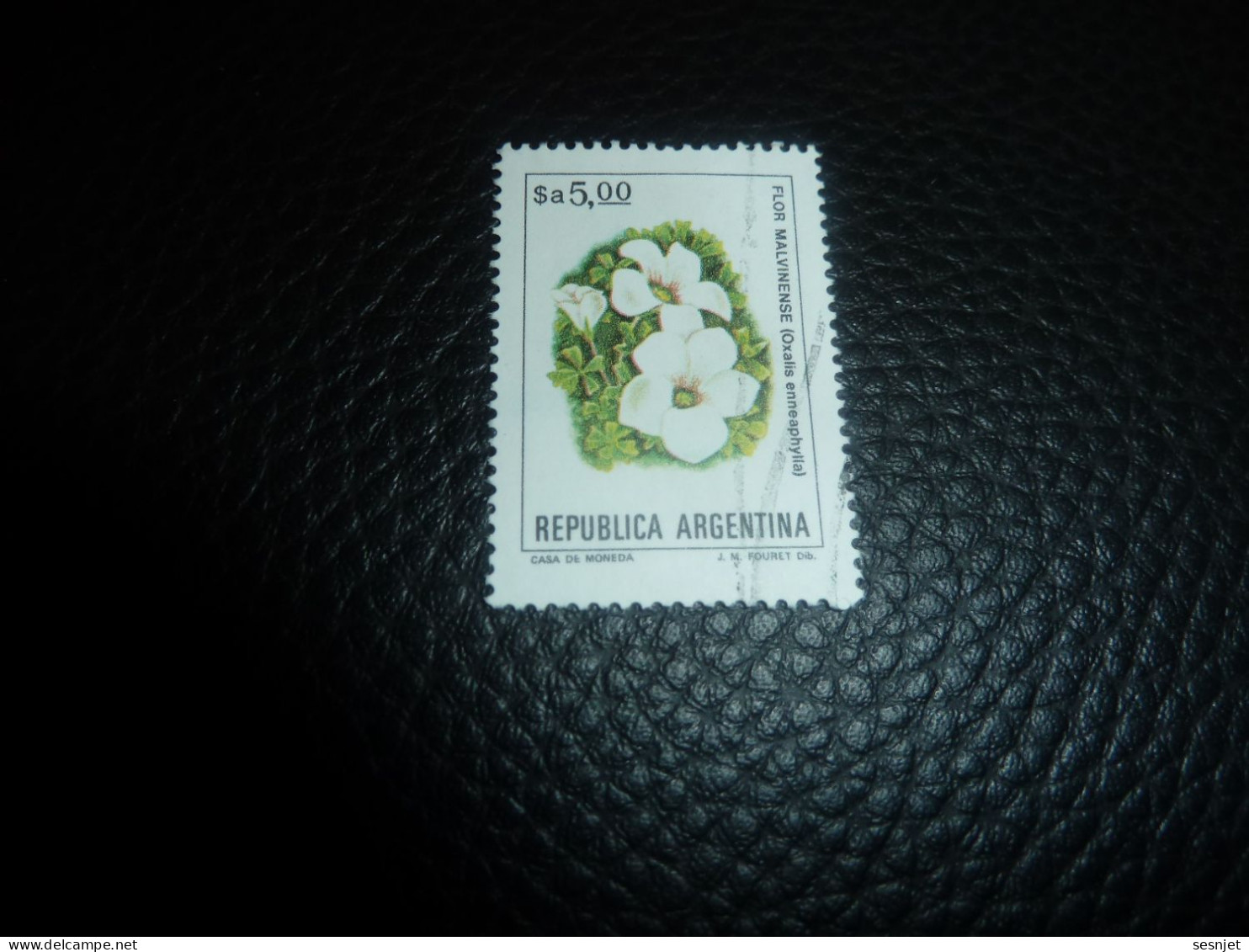 Républica Argentina - Oxalis Enneaphylla - Flore Malvinense - 5.00 $a - Yt 1337 - Multicolore - Oblitéré - Année 1982 - - Used Stamps