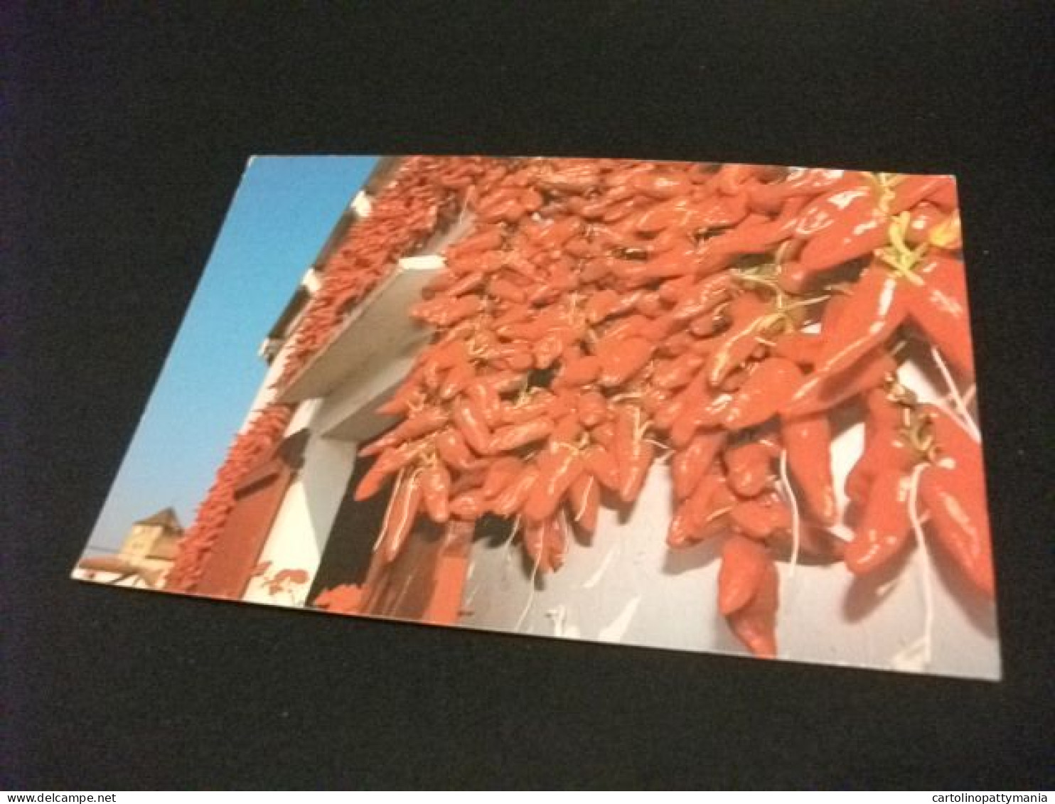 PEPERONCINO ROSSO ESPELETTE PAYS BASQUE SECHAGE DU PIMENT FRANCIA - Plantes Médicinales