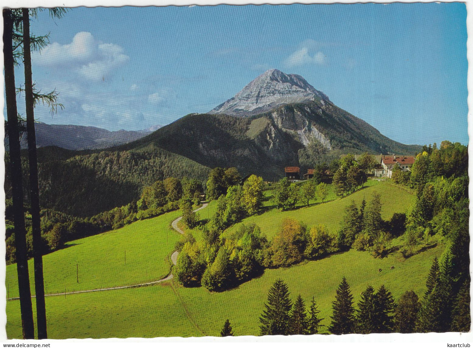 Naturpark Ötscher-Tormäuer - NÖ Naturschutzbund - (NÖ., Österreich/Austria) - Lilienfeld