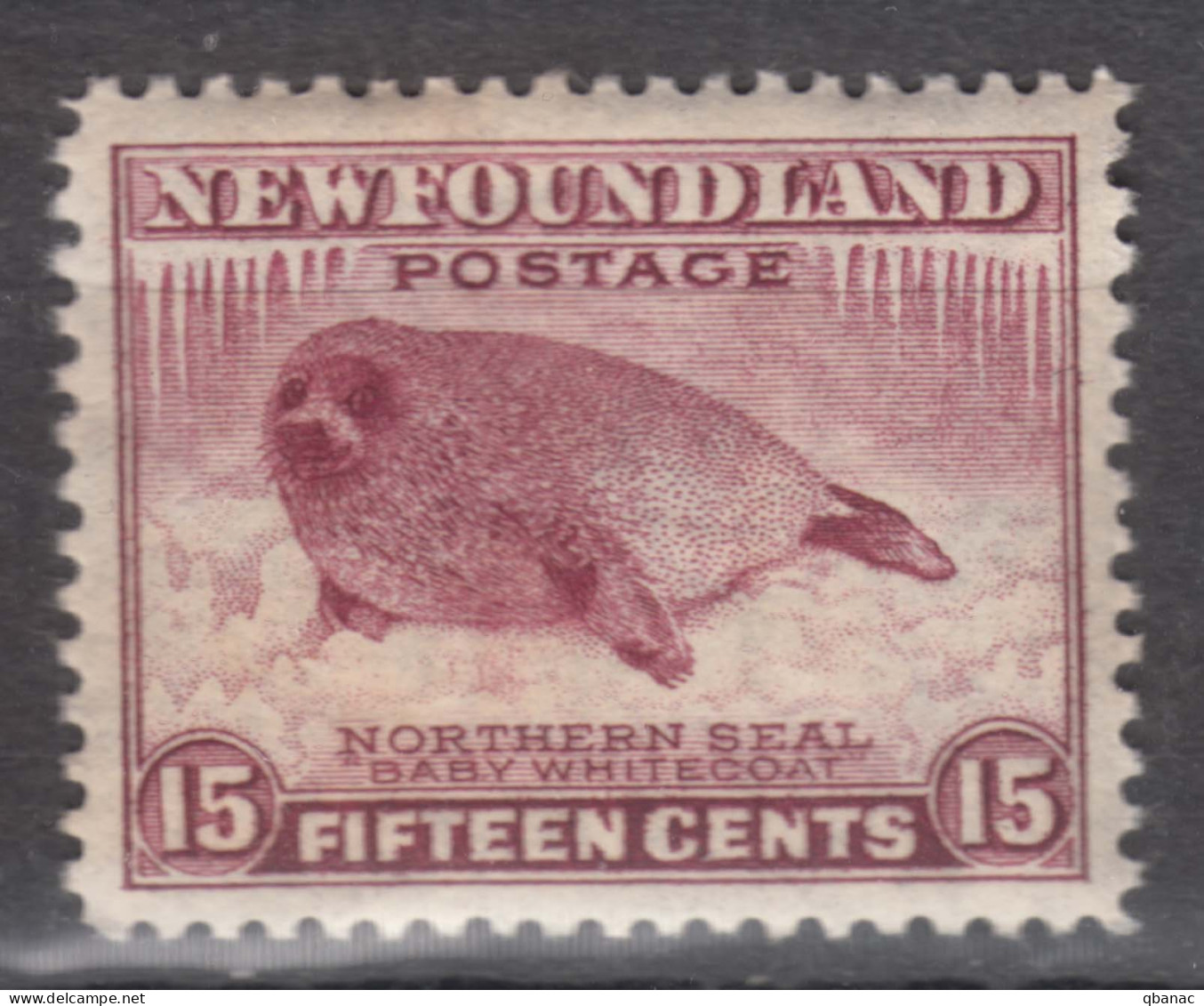 Canada Newfoundland 1932/1941 Mi#180 C, Perforation 12 1/2, Mint Never Hinged - 1908-1947