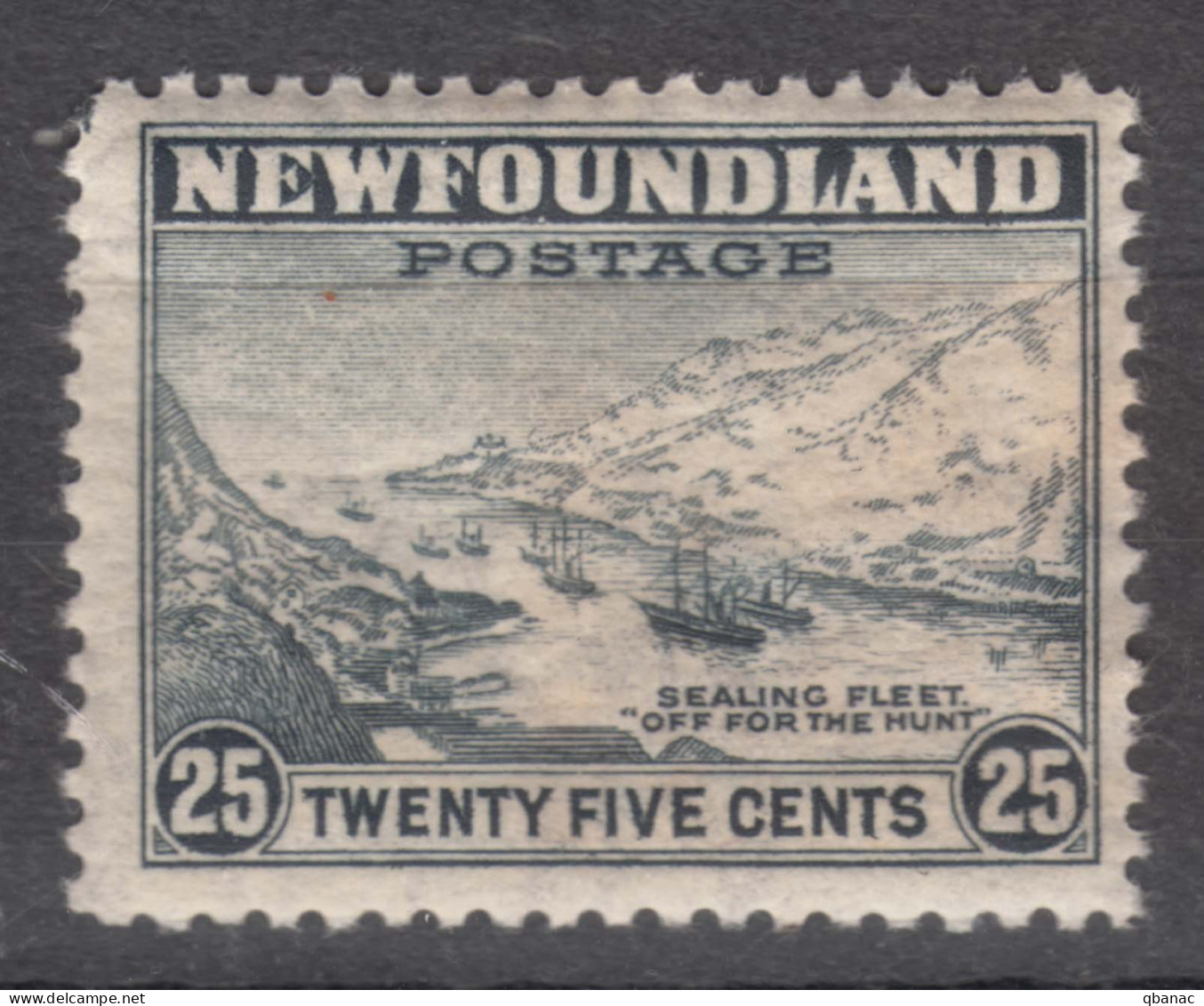 Canada Newfoundland 1932/1941 Mi#182 C, Perforation 12 1/2, Mint Never Hinged - 1908-1947