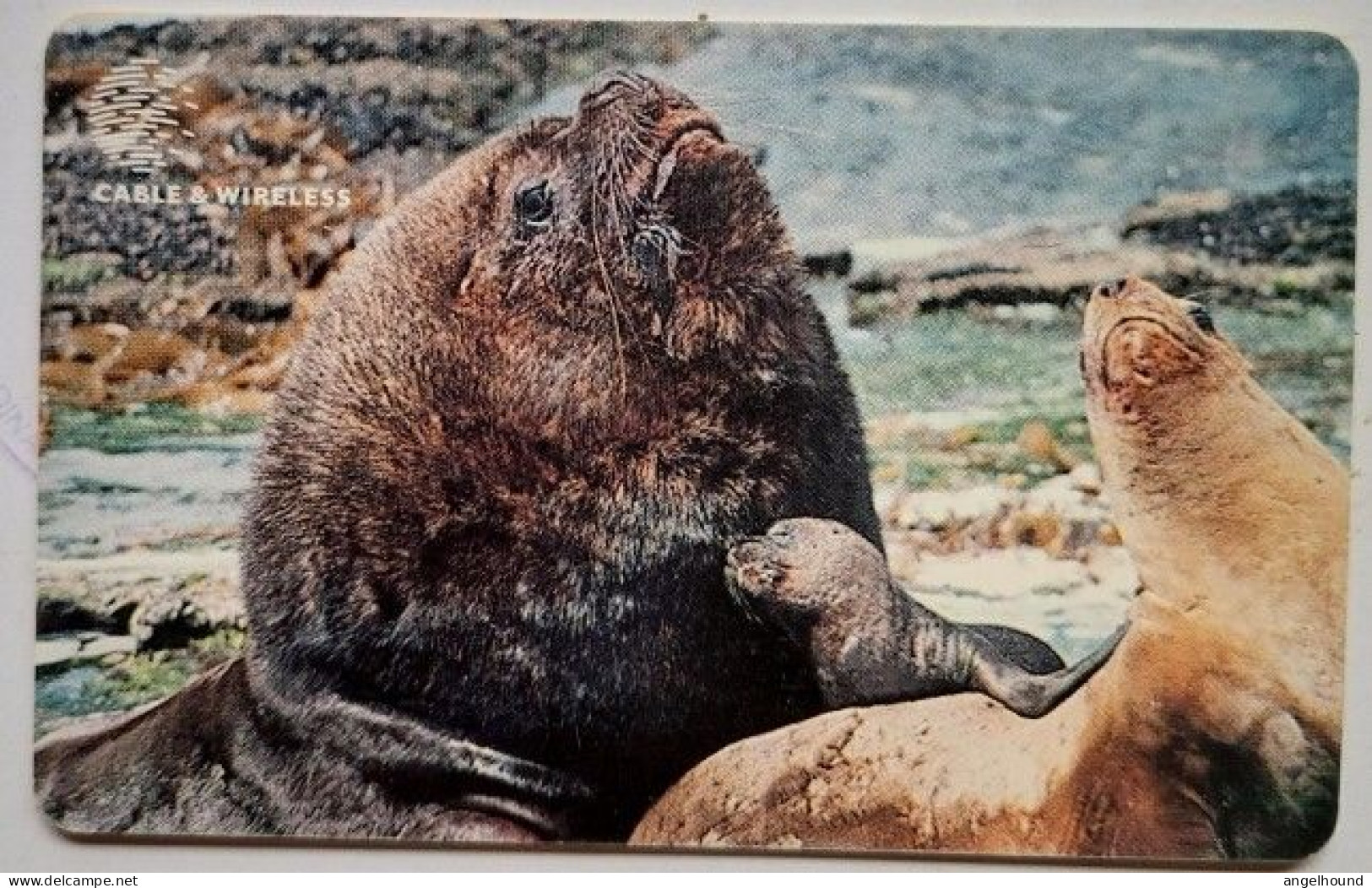 Falkland Islands £10 Chip Card "  Family Of Sea Lions " - Islas Malvinas