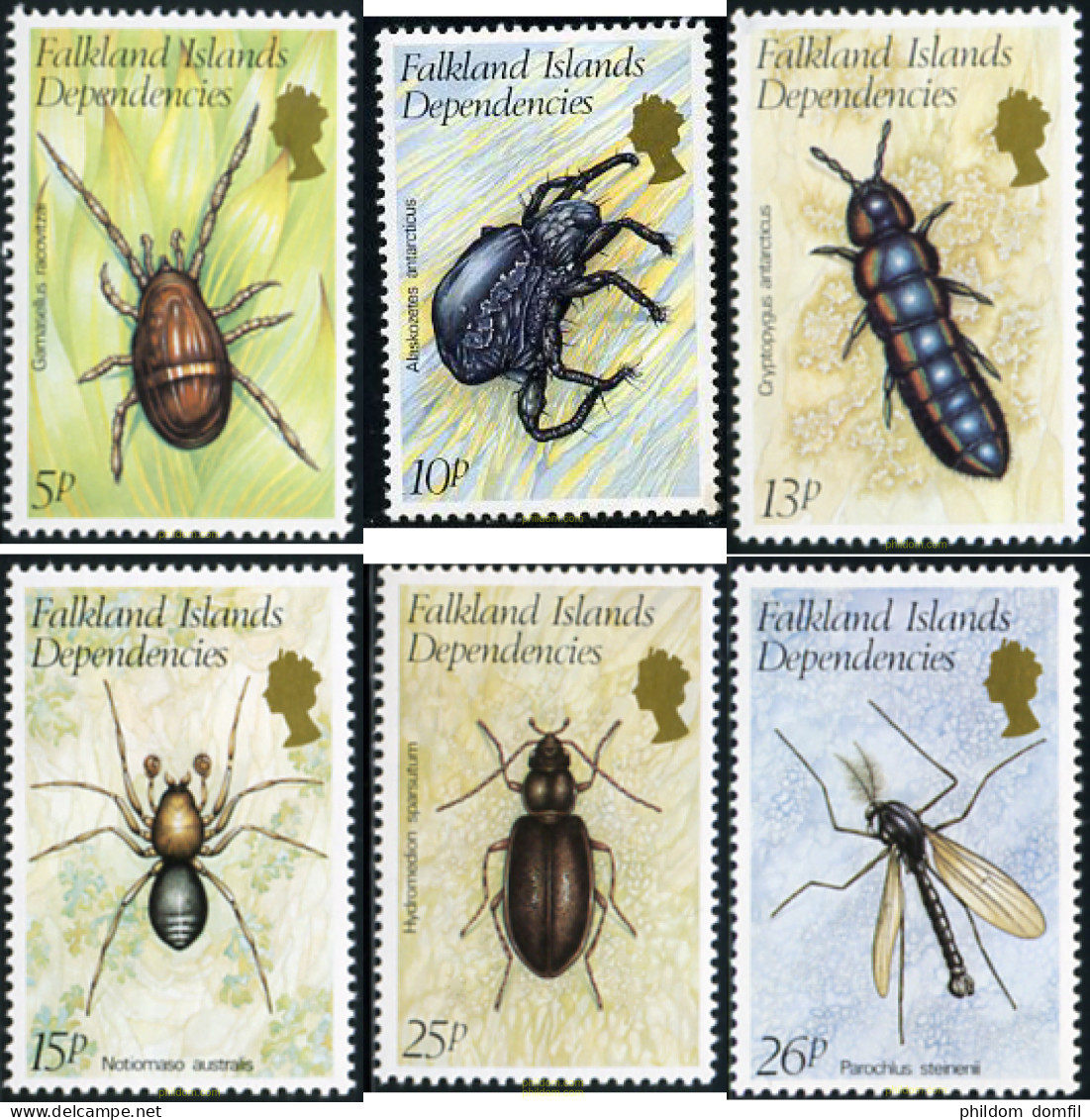 86965 MNH FALKLAND. Dependencias 1982 INSECTOS - Spinnen