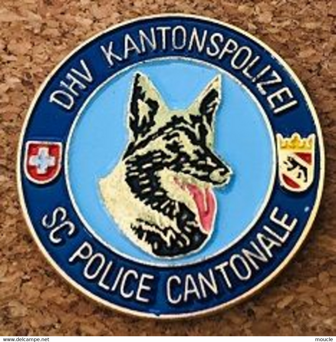 CHIENS DE POLICE - DOG - HUND - CANE - DHV KANTON POLIZEI BERN - SC POLICE CANTONALE BERNE -SUISSE-BERGER ALLEMAND-(31) - Policia