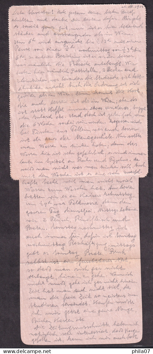 HUNGARY WWI - Closed Stationery Sent From Hungary To Mondsee 29.07. 1916. And Re-addressed To Hospital Of Red/ 4 Scans - Other & Unclassified