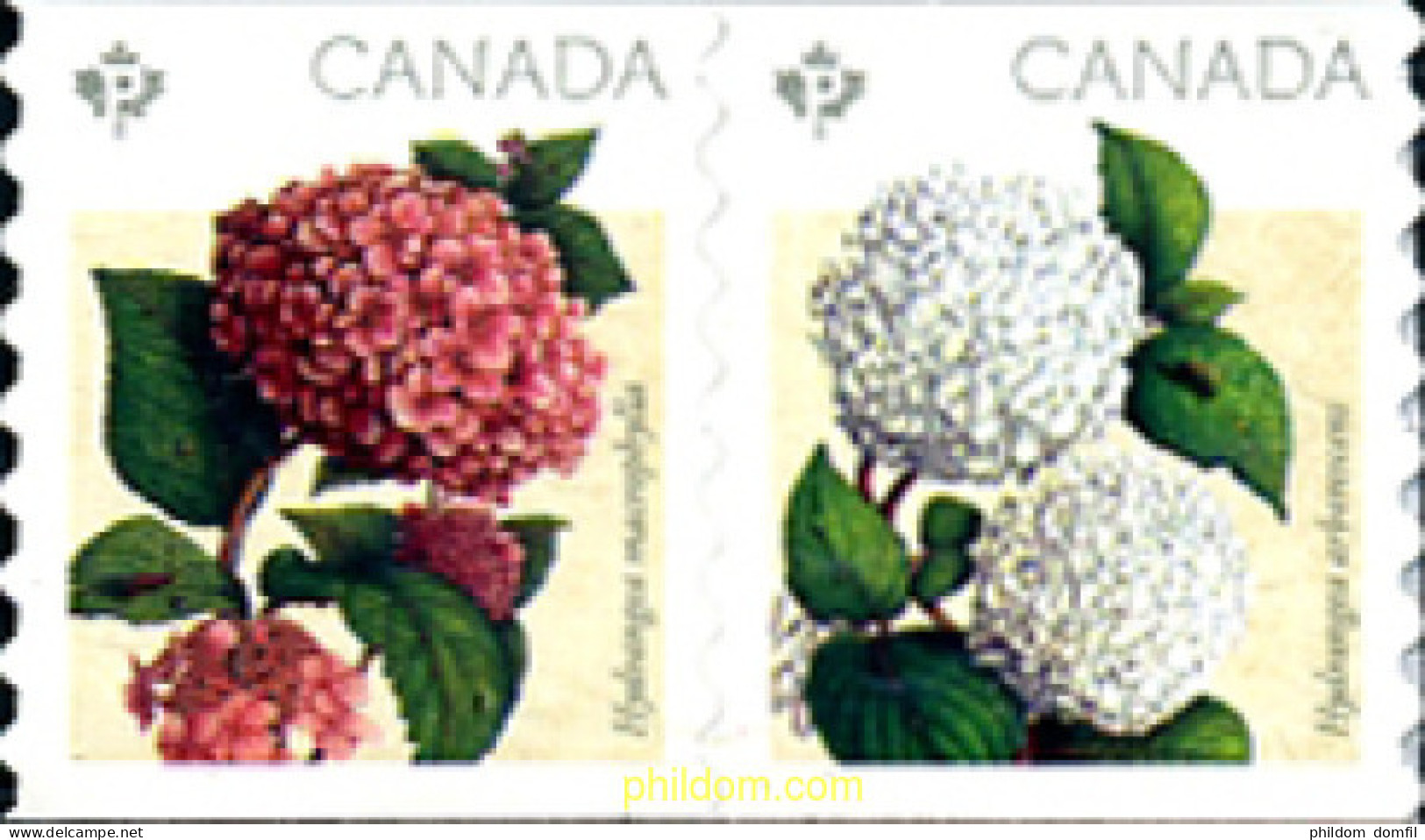 565886 MNH CANADA 2016 HORTENSIAS - Andere & Zonder Classificatie