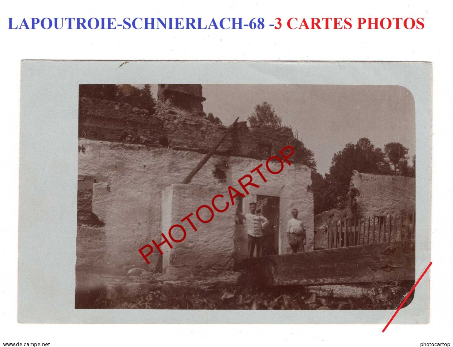 LAPOUTROIE-SCHNIERLACH-68-Pferdezucht-3x CARTES PHOTOS Allemandes-Guerre14-18-1 WK-Militaria-France - Lapoutroie