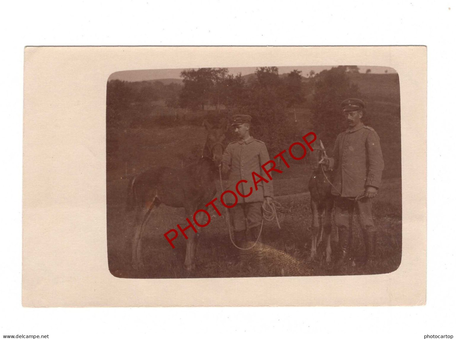 LAPOUTROIE-SCHNIERLACH-68-Pferdezucht-3x CARTES PHOTOS Allemandes-Guerre14-18-1 WK-Militaria-France - Lapoutroie