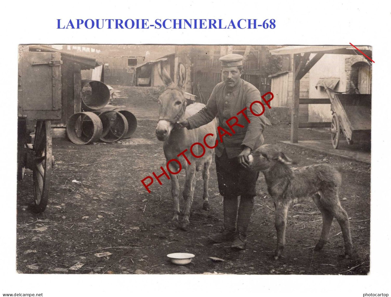 LAPOUTROIE-SCHNIERLACH-68-Ane-CARTE PHOTO Allemande-Guerre14-18-1 WK-Militaria-France - Lapoutroie