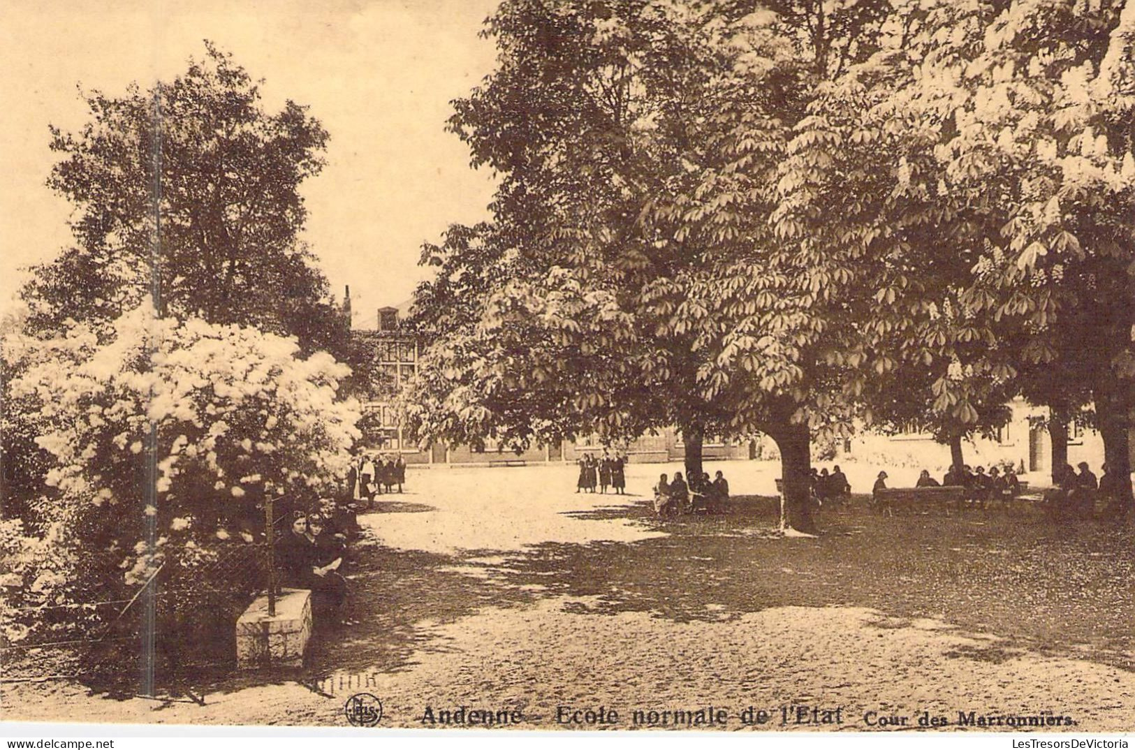 BELGIQUE - ANDENNE - Ecole Normale De L'etat - Carte Postale Ancienne - Andenne