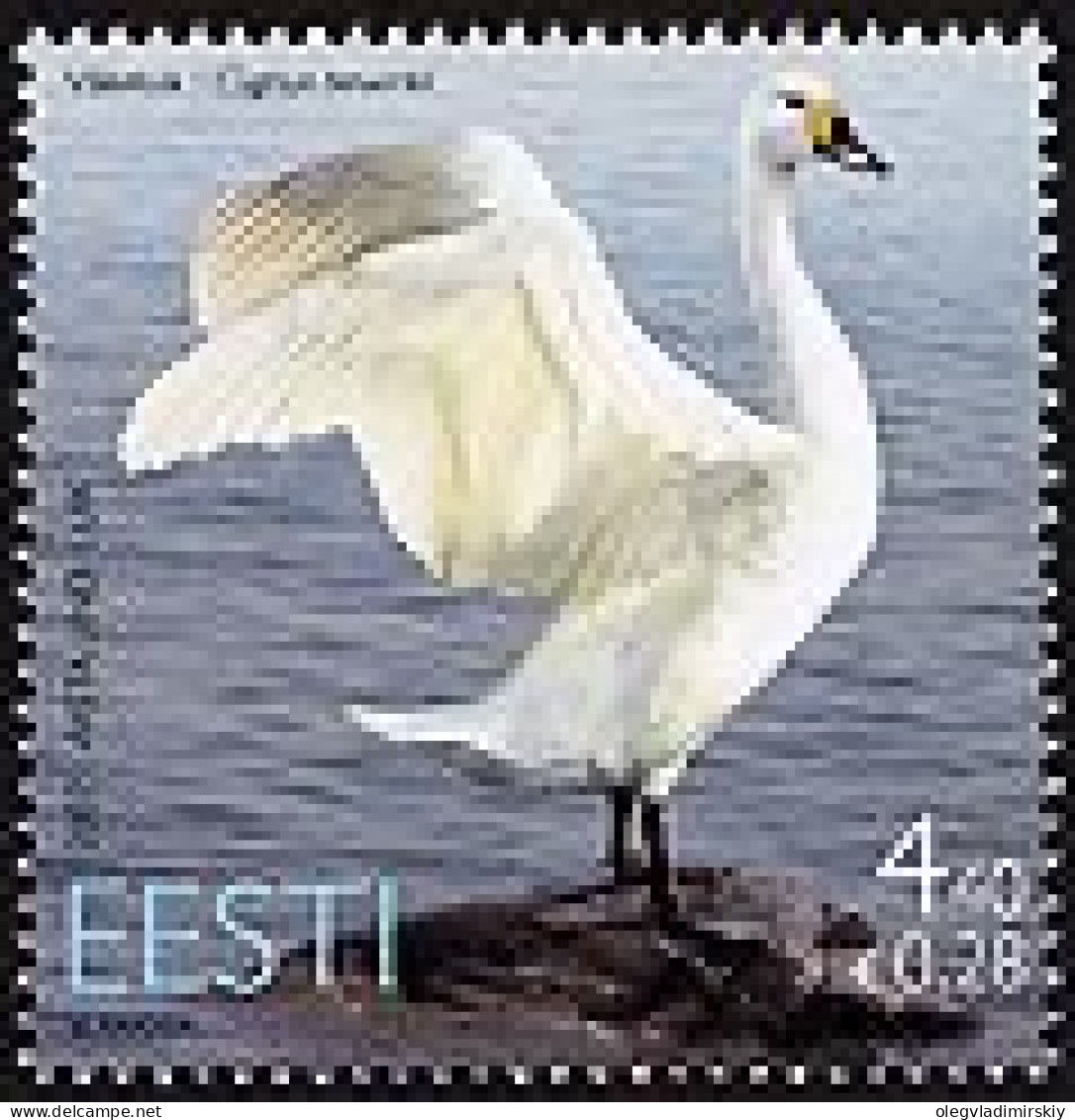Estonia Estland 2007 Fauna Swan Stamp Mint - Cygnes