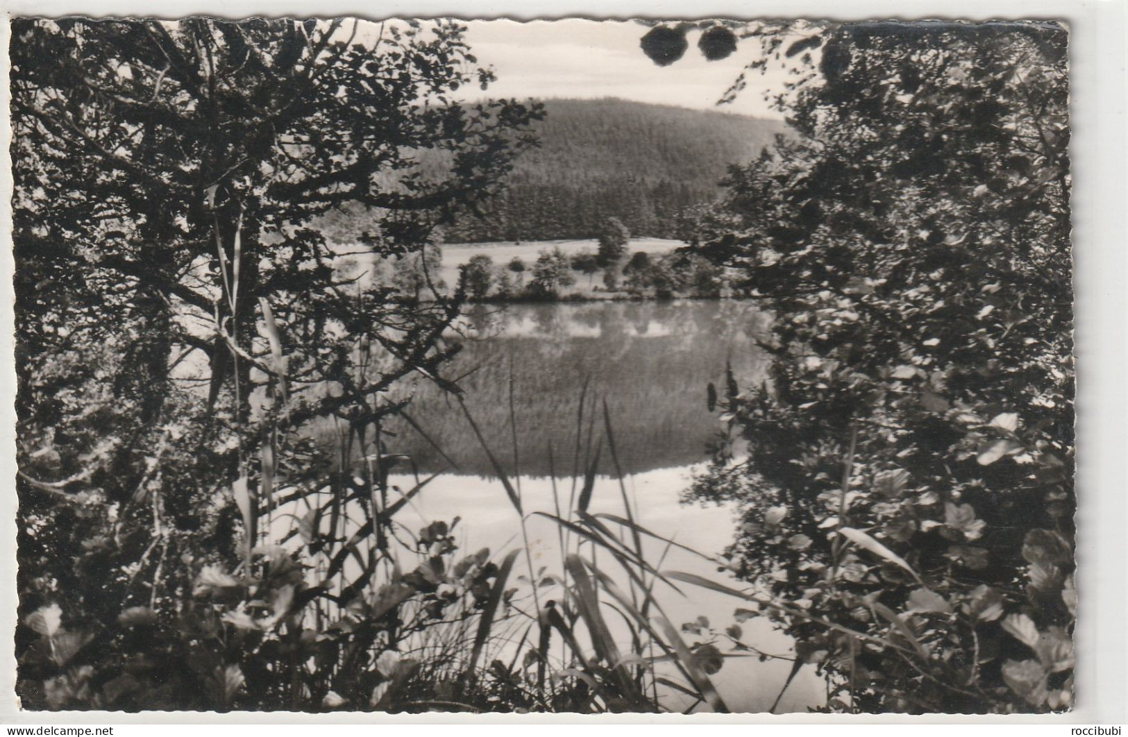 Ursee Bei Lenzkirch Im Hochschwarzwald, Baden-Württemberg - Hochschwarzwald