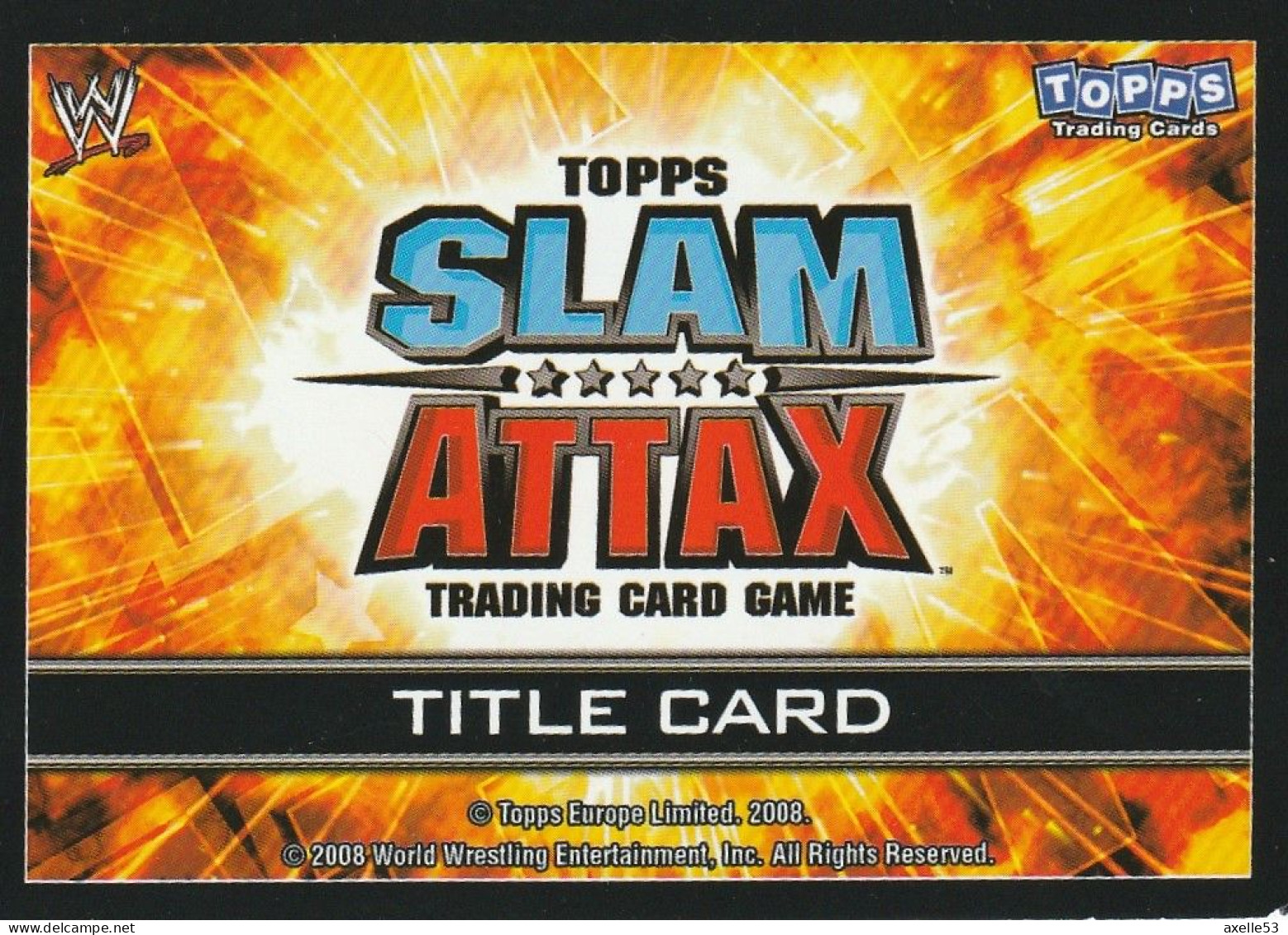 Cartes Slam Attax  (8388) Lot Championship - Sports De Combat