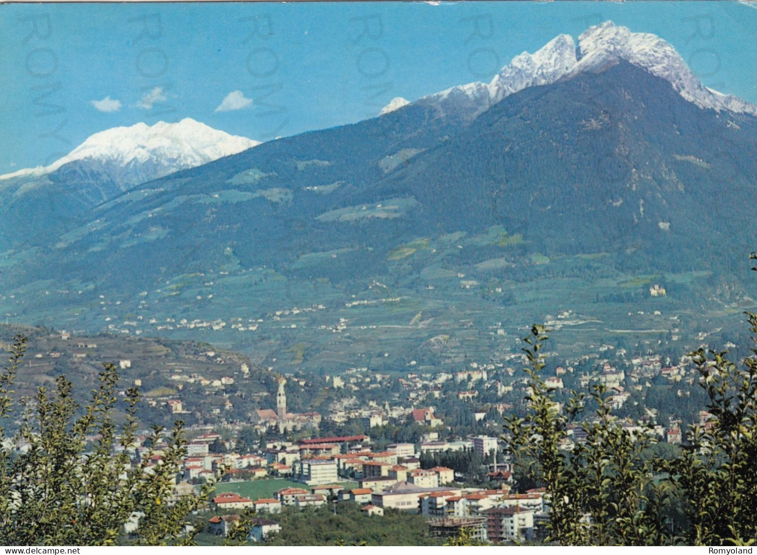 CARTOLINA  MERANO M.311,TRENTINO ALTO ADIGE-PANORAMA-VACANZA,RIFUGIO,VACANZA,MONTAGNA,BELLA ITALIA,VIAGGIATA 1984 - Merano