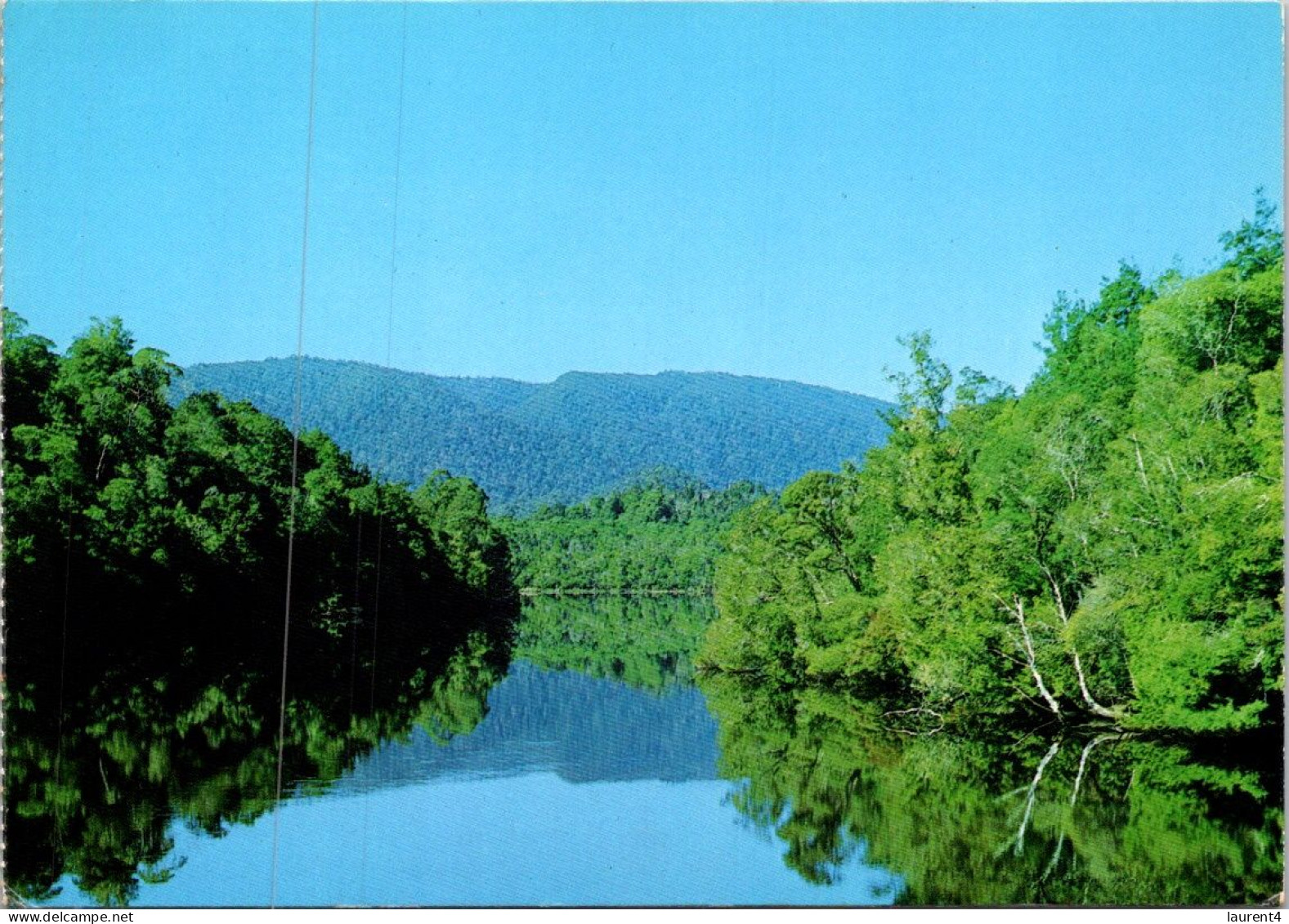 (1 Q 23) Posted Within Australia 1981- With King Fisher Postage Stamp - TAS - Gordeon River - Wilderness