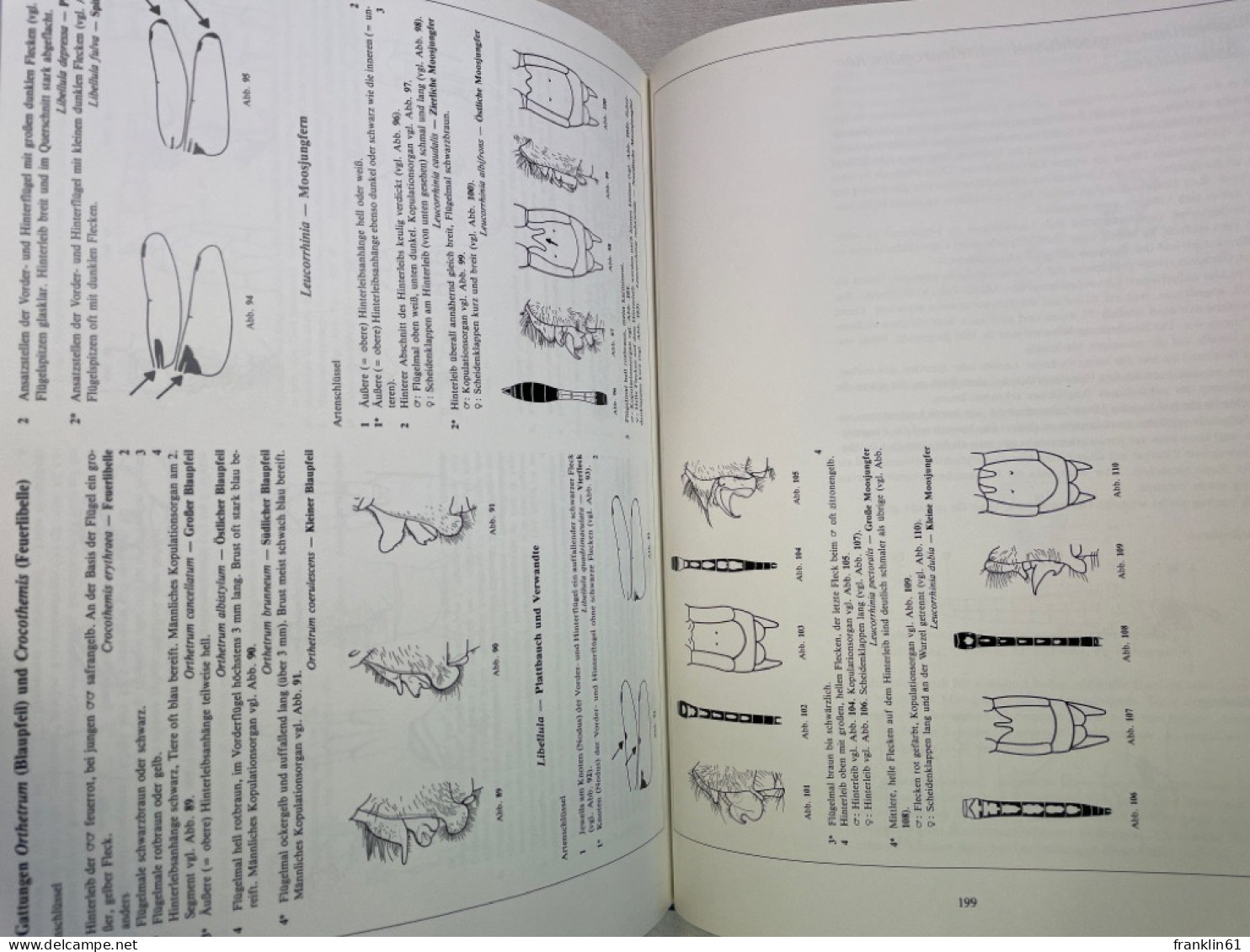 Die Libellen : Das Umfassende Handbuch Zur Biologie Und Ökologie Aller Mitteleuropäischen Arten Mit Bestimmung - Tierwelt