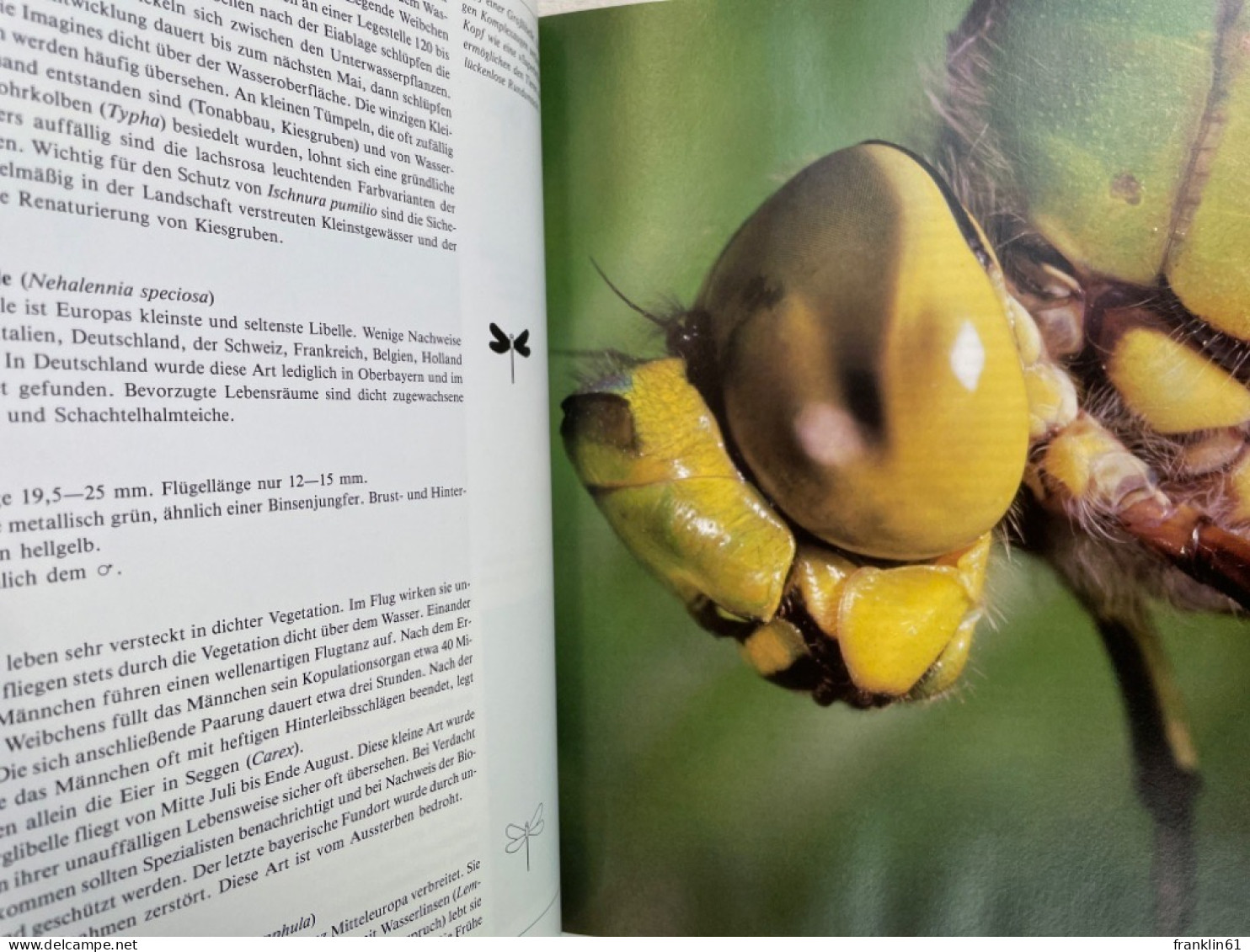 Die Libellen : das umfassende Handbuch zur Biologie und Ökologie aller mitteleuropäischen Arten mit Bestimmung