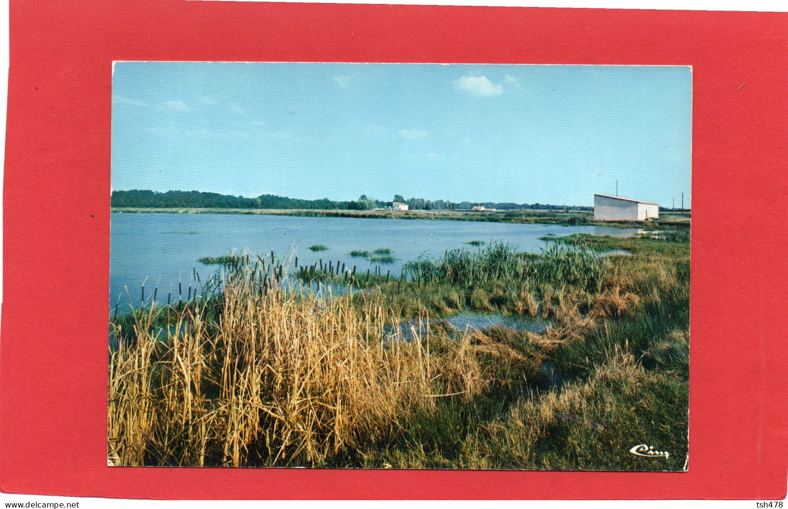 82-----MONTECH---la Pisciculture--voir 2 Scans - Montech