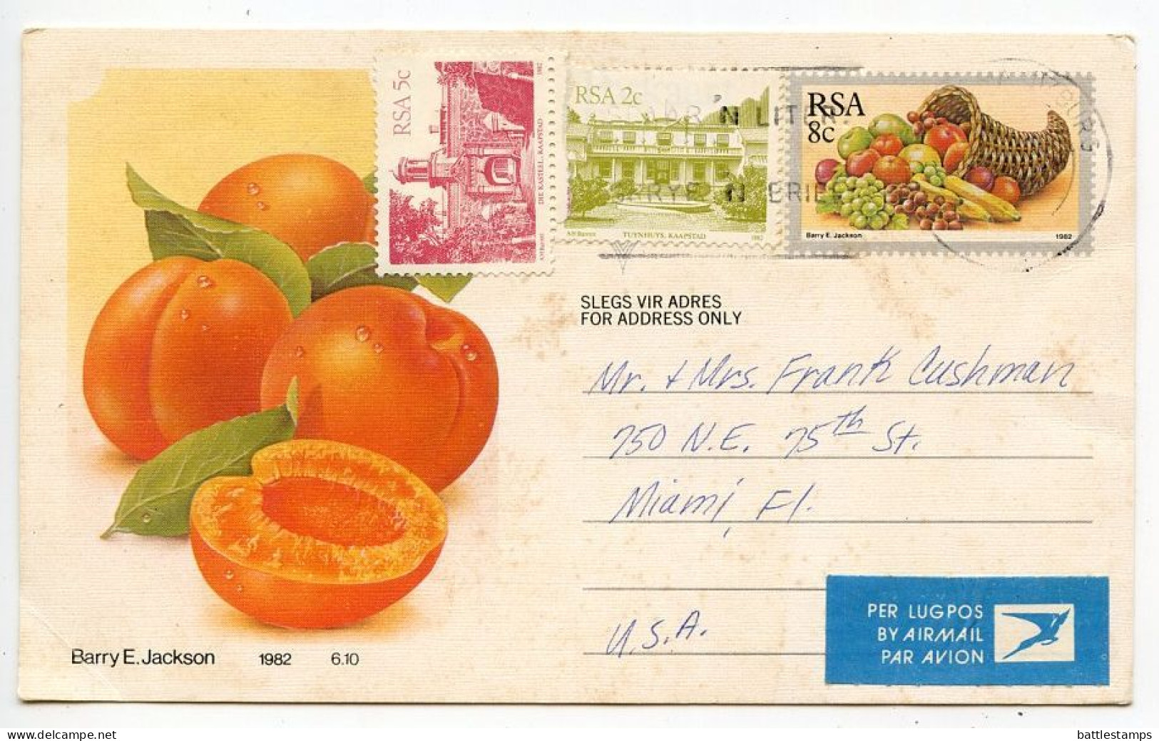 South Africa 1983 8p. Fruit Cornucopia Illustrated Postal Card - Peaches; Pietemaritzburg To Miami, Florida - Storia Postale