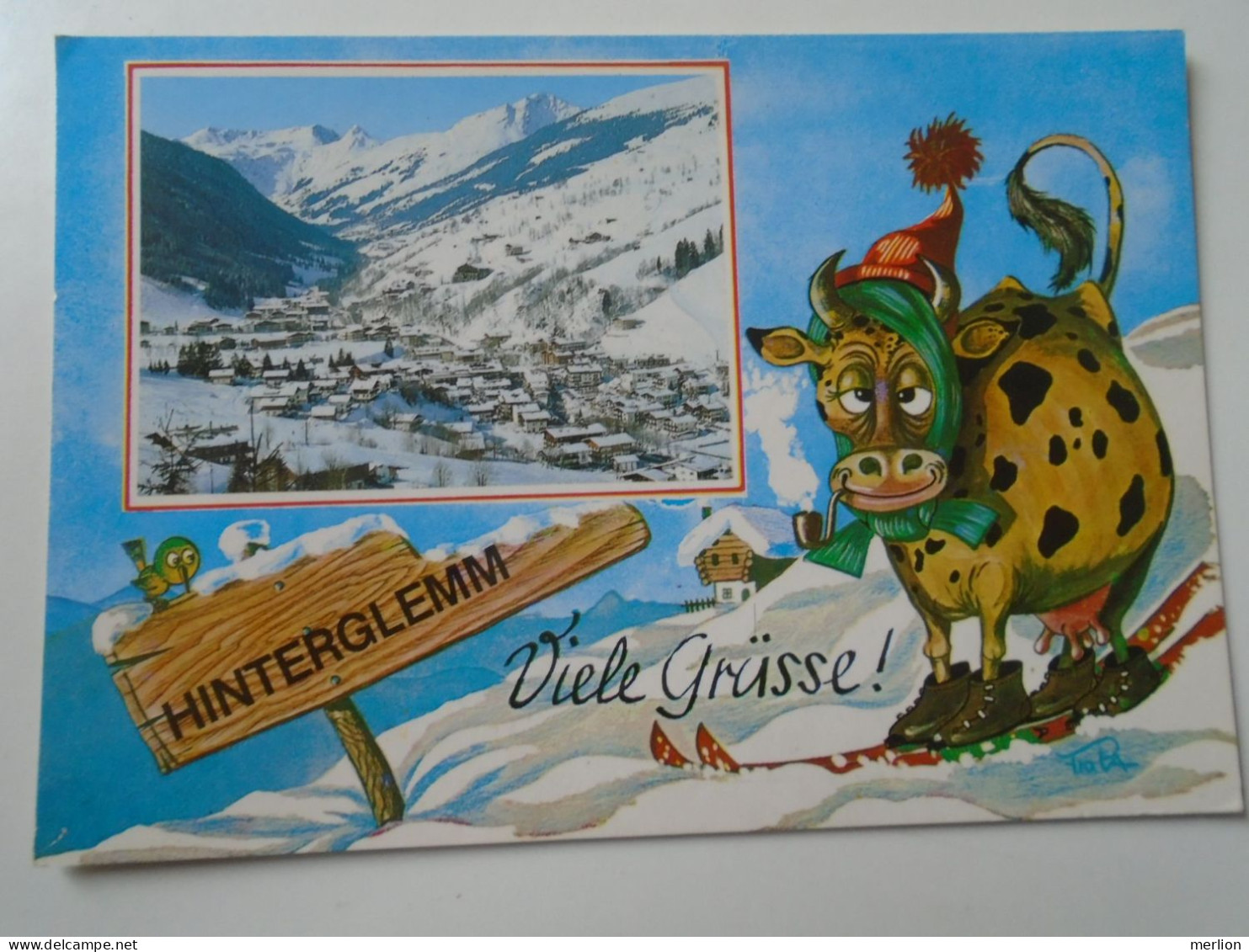 D194601  Österreich  -AK - Hinterglemm-  Salzburger Land- Ski -Saalbach - Saalbach