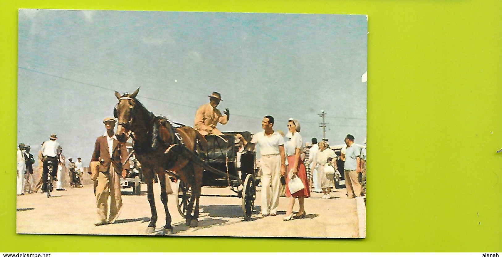 Cabman And Tourists Barbados - Barbades