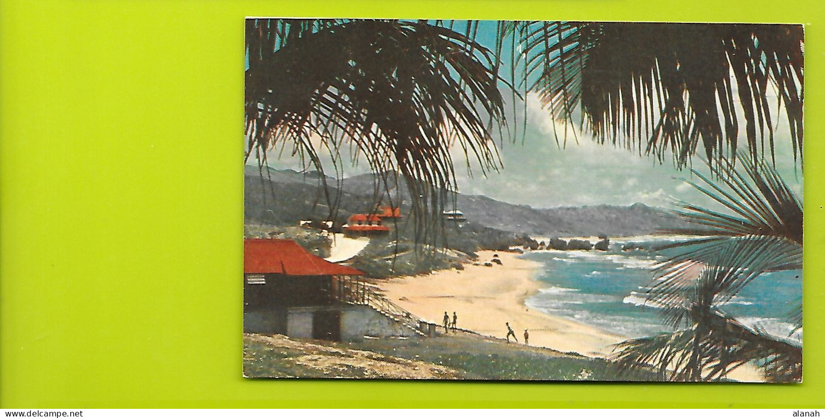 Sandy Beach On Bathsheba Coast Barbados - Barbades