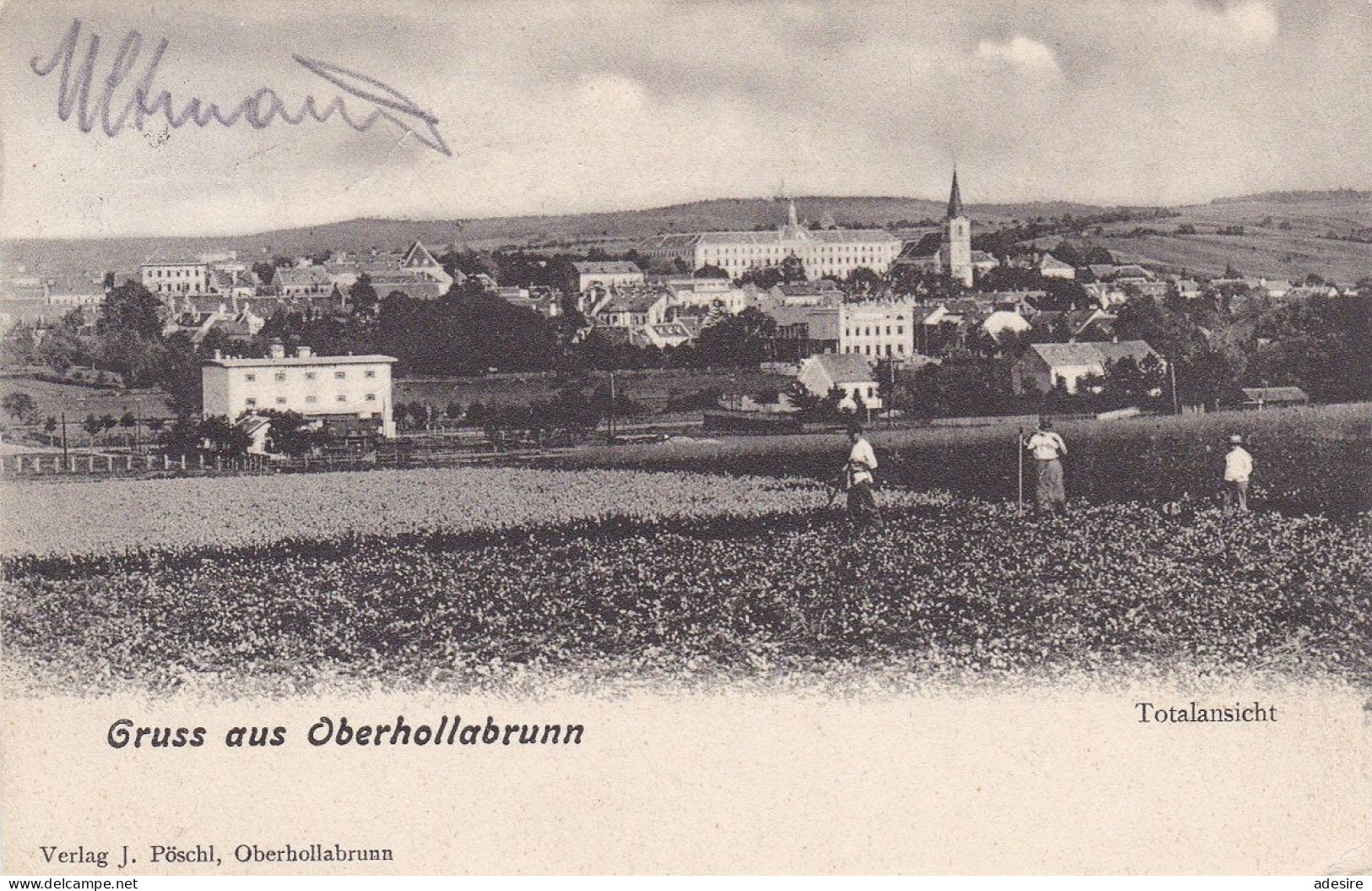 OBERHOLLABRUNN (NÖ) - Totalansicht, Verlag J.Pöschl Oberhollabrunn, Karte Gel.1910 ... - Hollabrunn