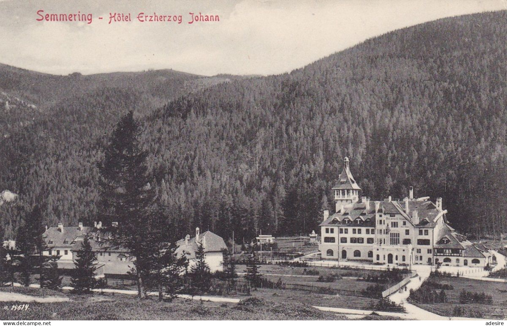 NÖ - SEMMERING Um 1908 - Hotel Erzherzog Johann, Verlag Julius Seiser Neunkirchen ... - Semmering